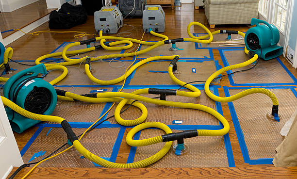 Professional Water Damage Repair technician working in South Boston, MA